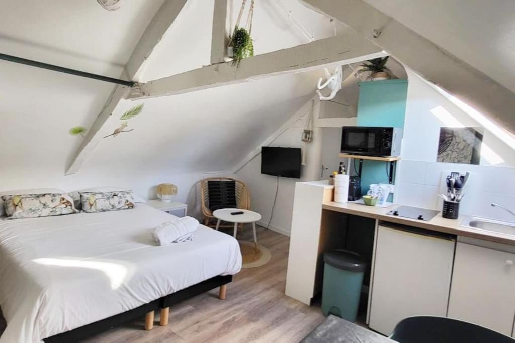 La Cabane - Petit Studio Mansarde - Plage 50M - Rue Gratuite Saint-Malo Eksteriør bilde